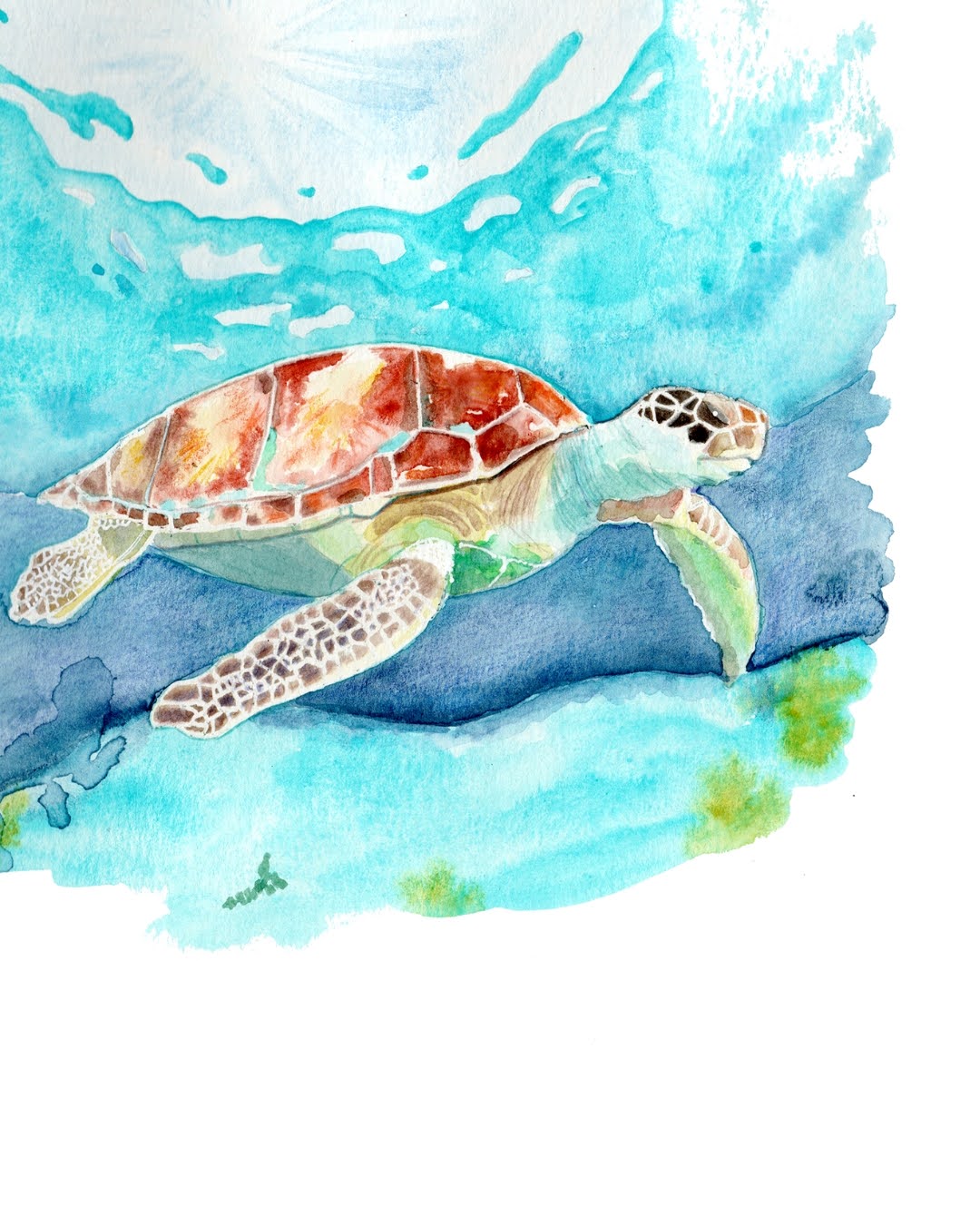 Watercolor retreat in French Polynesia