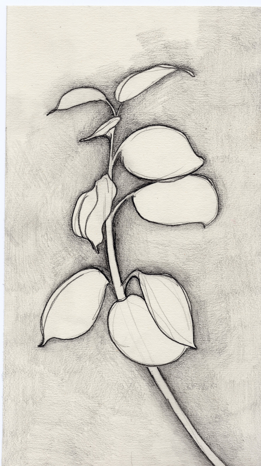 Sketchbook 0110520a