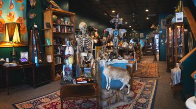 Curio Cabinet of the Hudson Valley