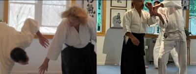 Art of Peace Aikido