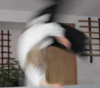art-of-peace-aikido-class-9