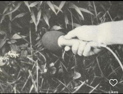 Justine Quart