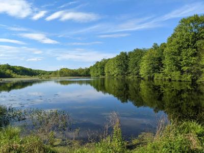 WildHeart: Center for Performance and Embodiment Practice