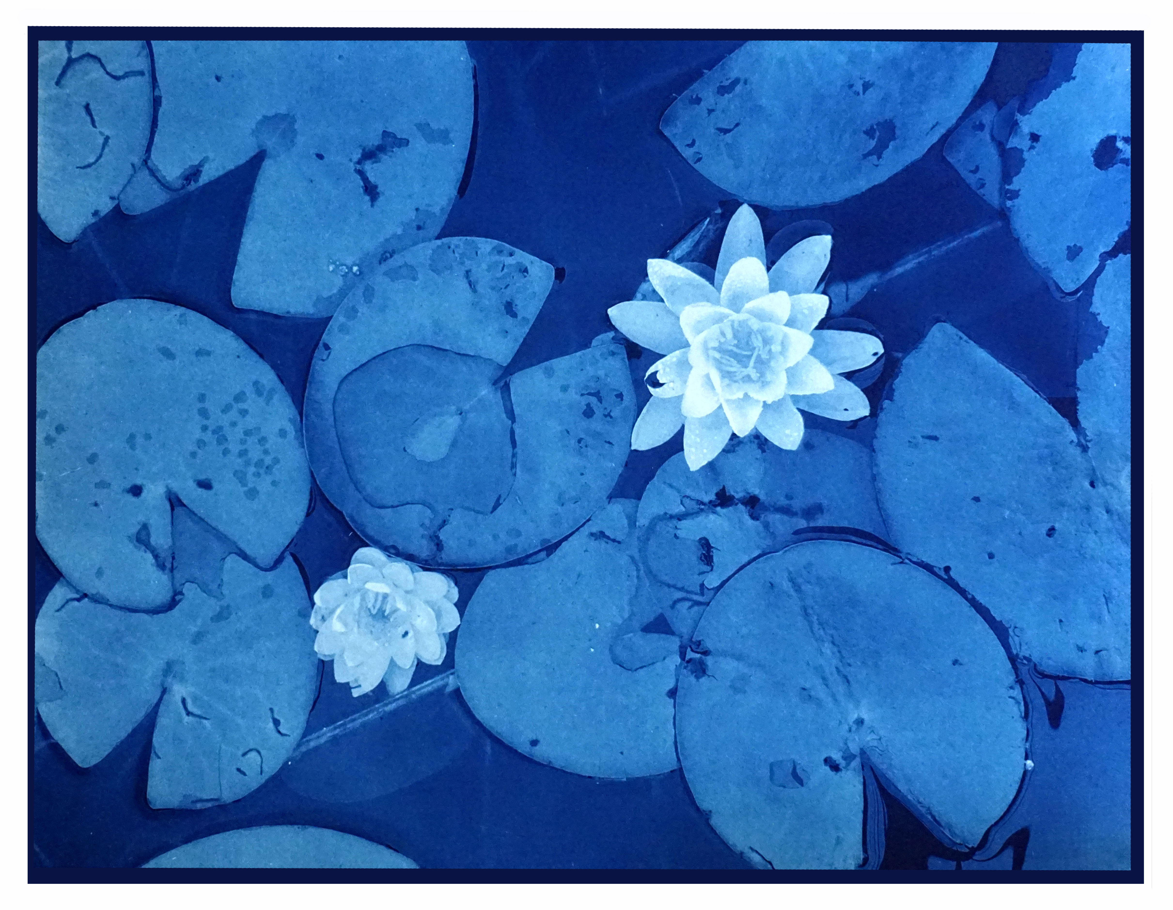 Intro To Cyanotype with Chris Losee — The Spark of Hudson