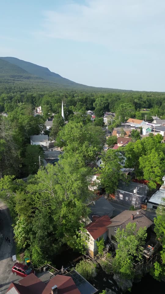 Panning over Woodstock (vert)