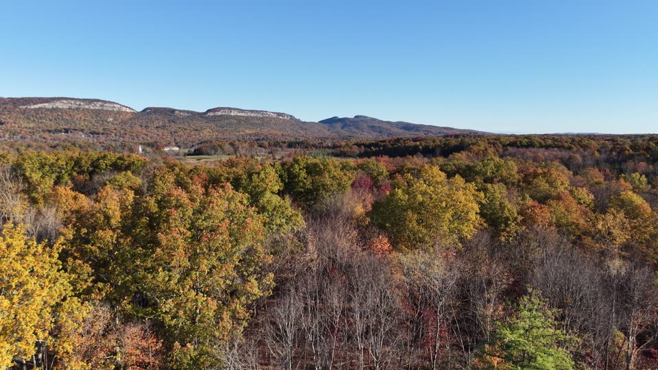 Rising above trees with the ridge in the distance