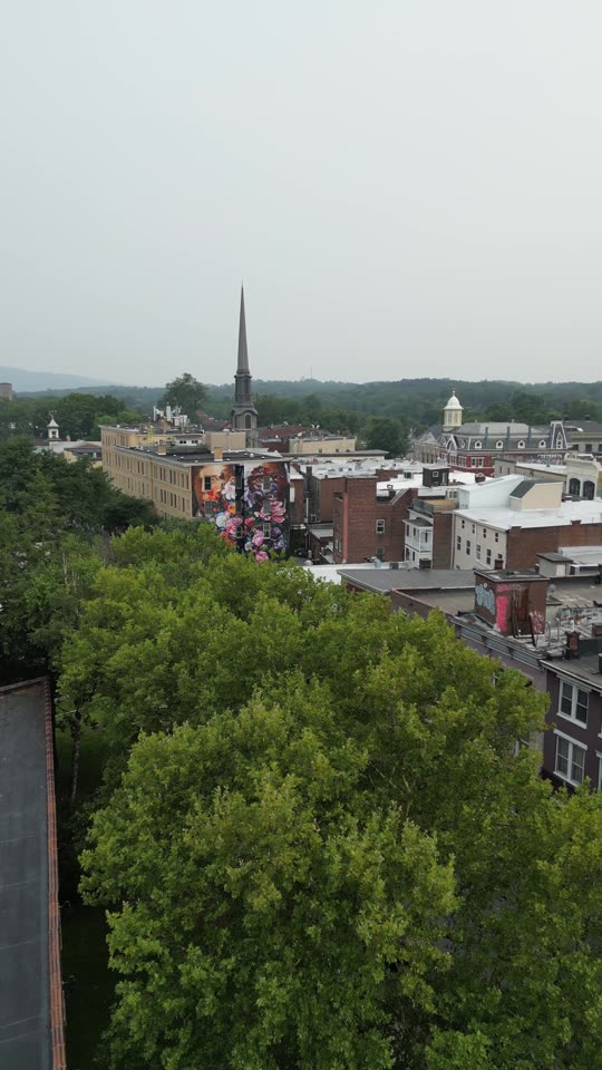 Rising over Uptown Kingston (vert)