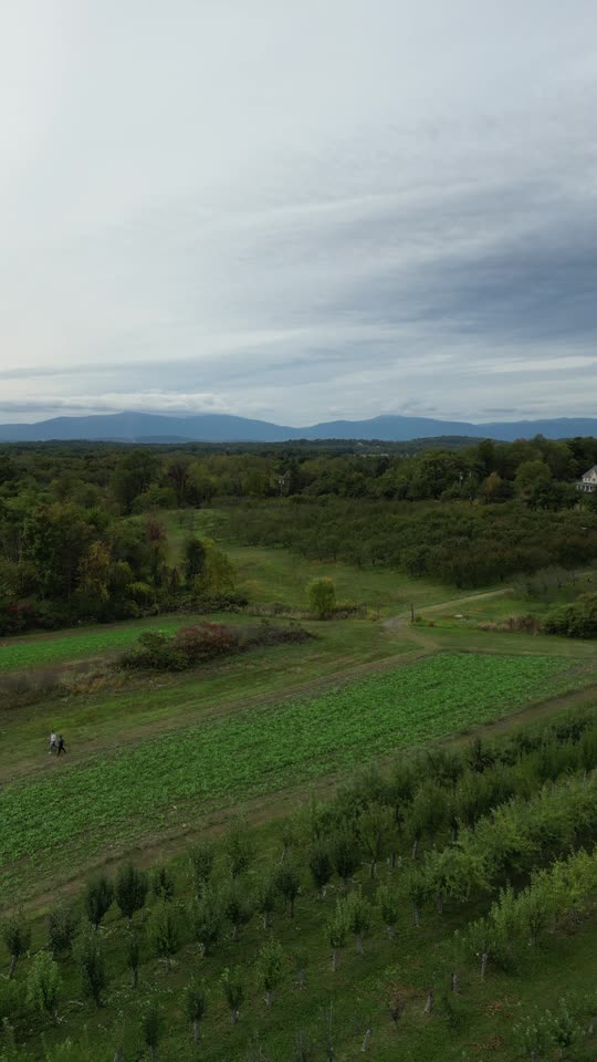 Rose Hill Farm ascend and fly towards Catskills