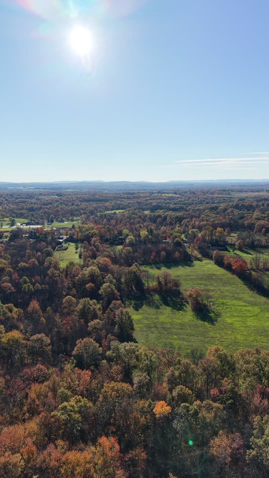 Flying over fields and trees